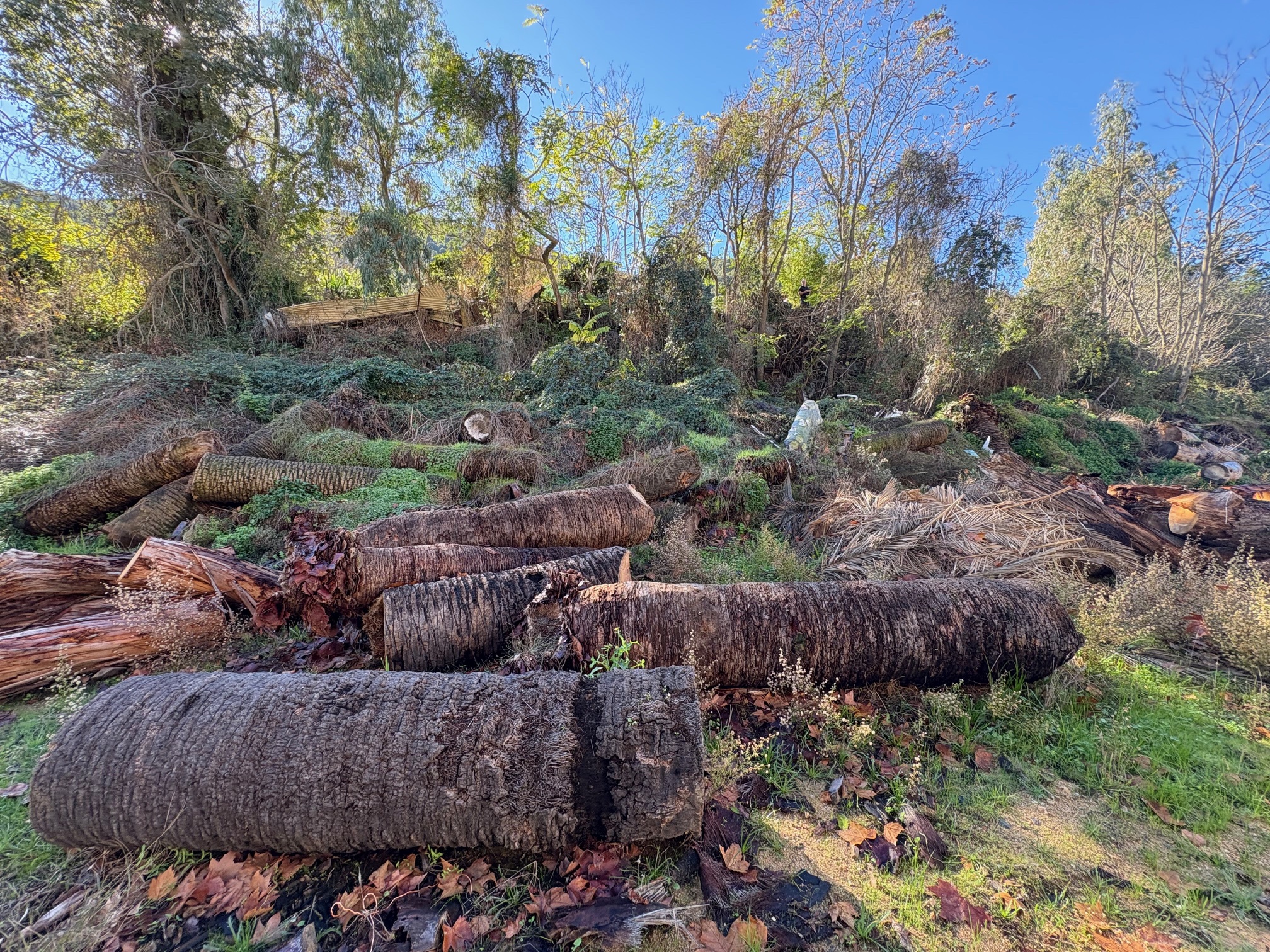 ​Ajaccio : François Filoni veut faire déménager les Tsiganes de Campo Dell'Oro sur un terrain municipal à Saint-Antoine