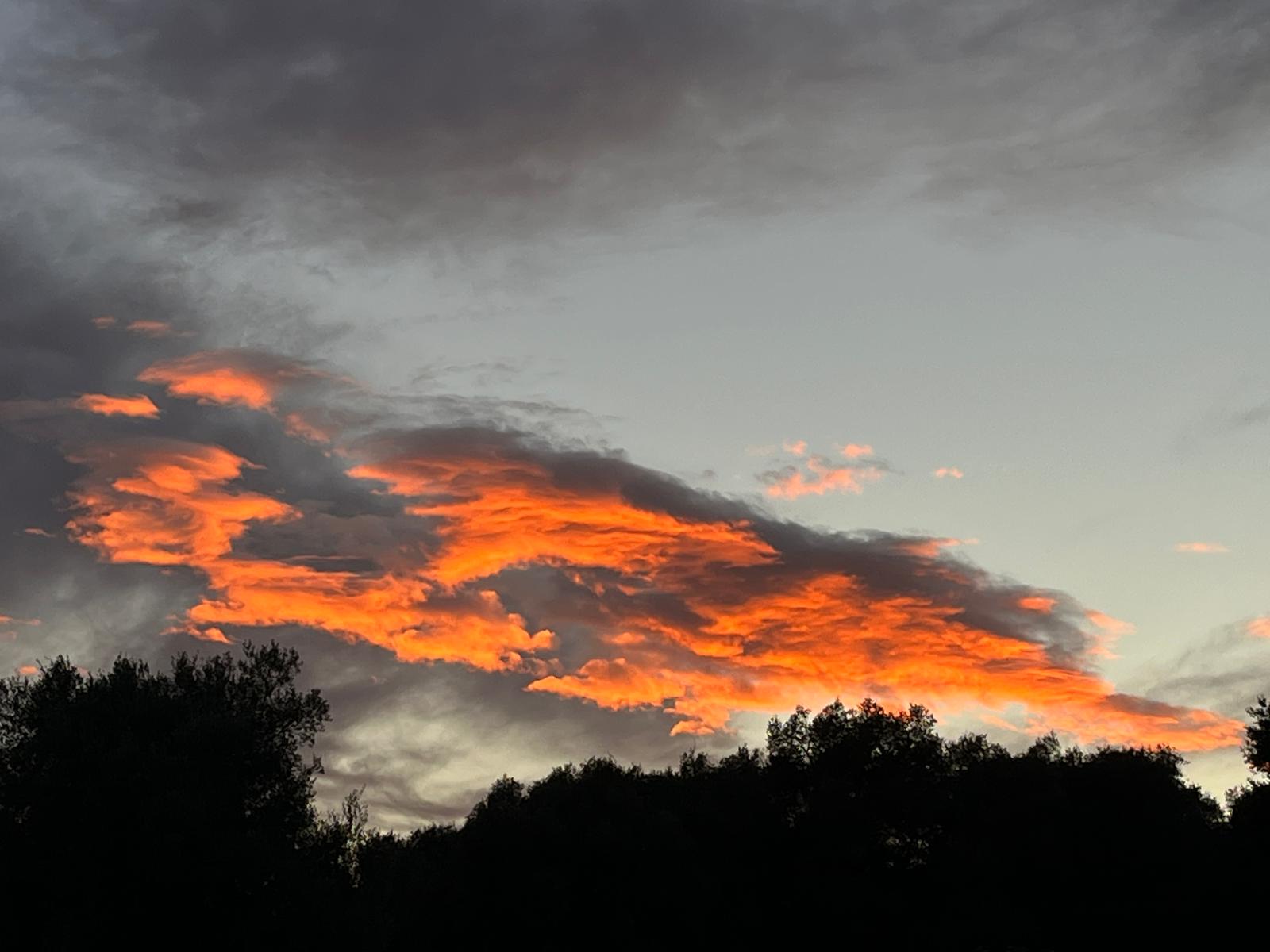 In Carghjese l'astra sera (Dumè Moneglia)