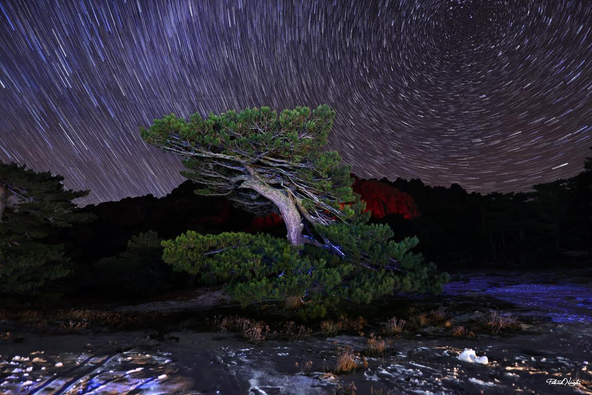 A màghjina - U vechju pinu di Bavella sottu à u muvimentu di l’astri