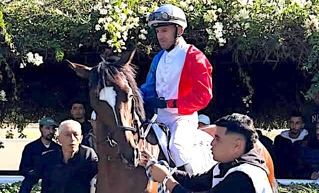 Hippisme - Alexandre Lastrajoli 4e à Casablanca