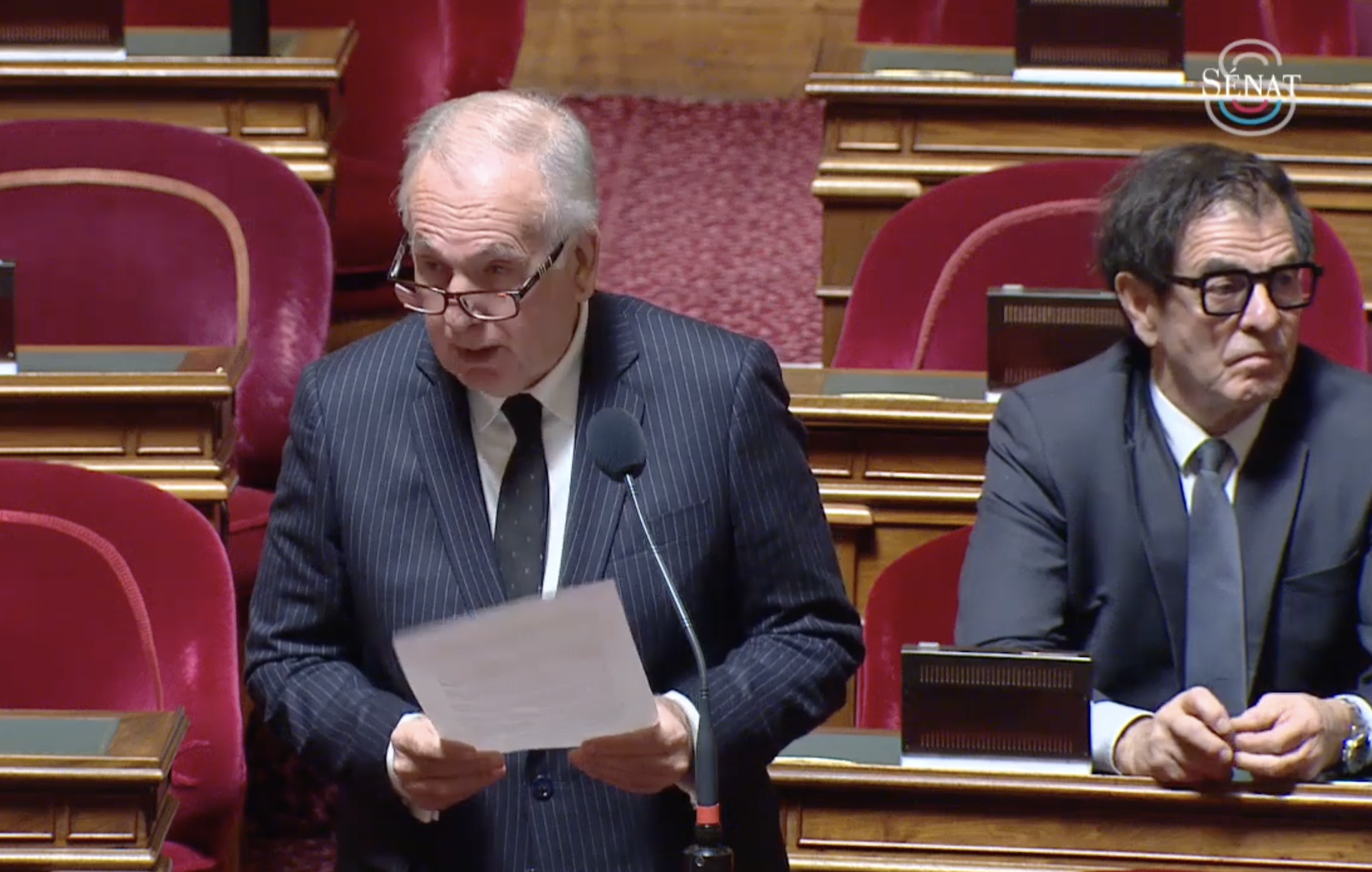 (Photo : Capture d'écran streaming Sénat)