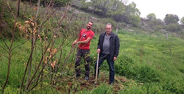 La  pépinière où les jeunes chategniers ont poussé