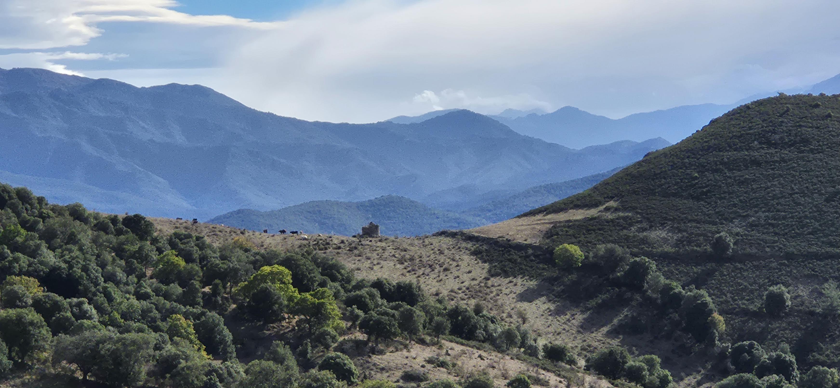 (Françoise Geronimi)