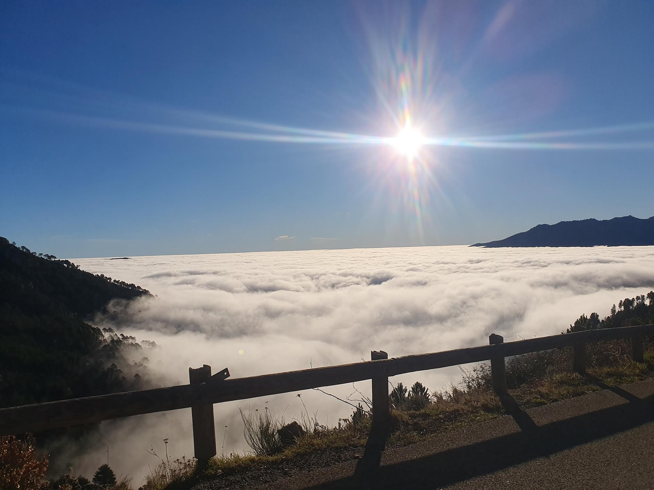 A màghjina - Sorba sopra a bianca immensità