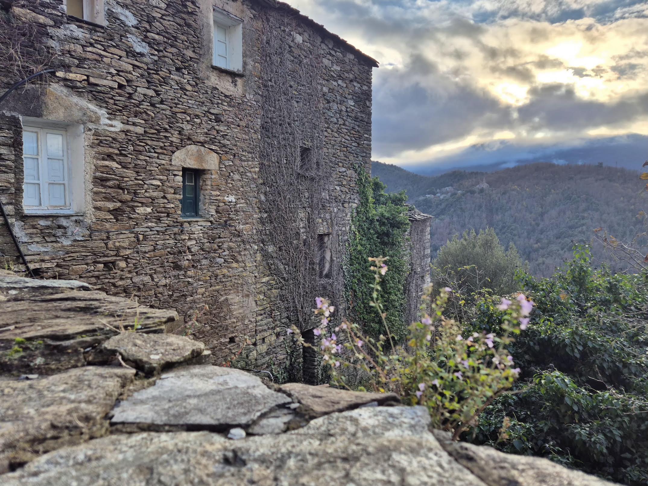 (Françoise Geronimi)