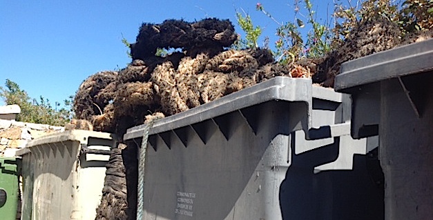Monticellu : Les riverains du lotissement Castellacciu en guerre contre l'incivisme 