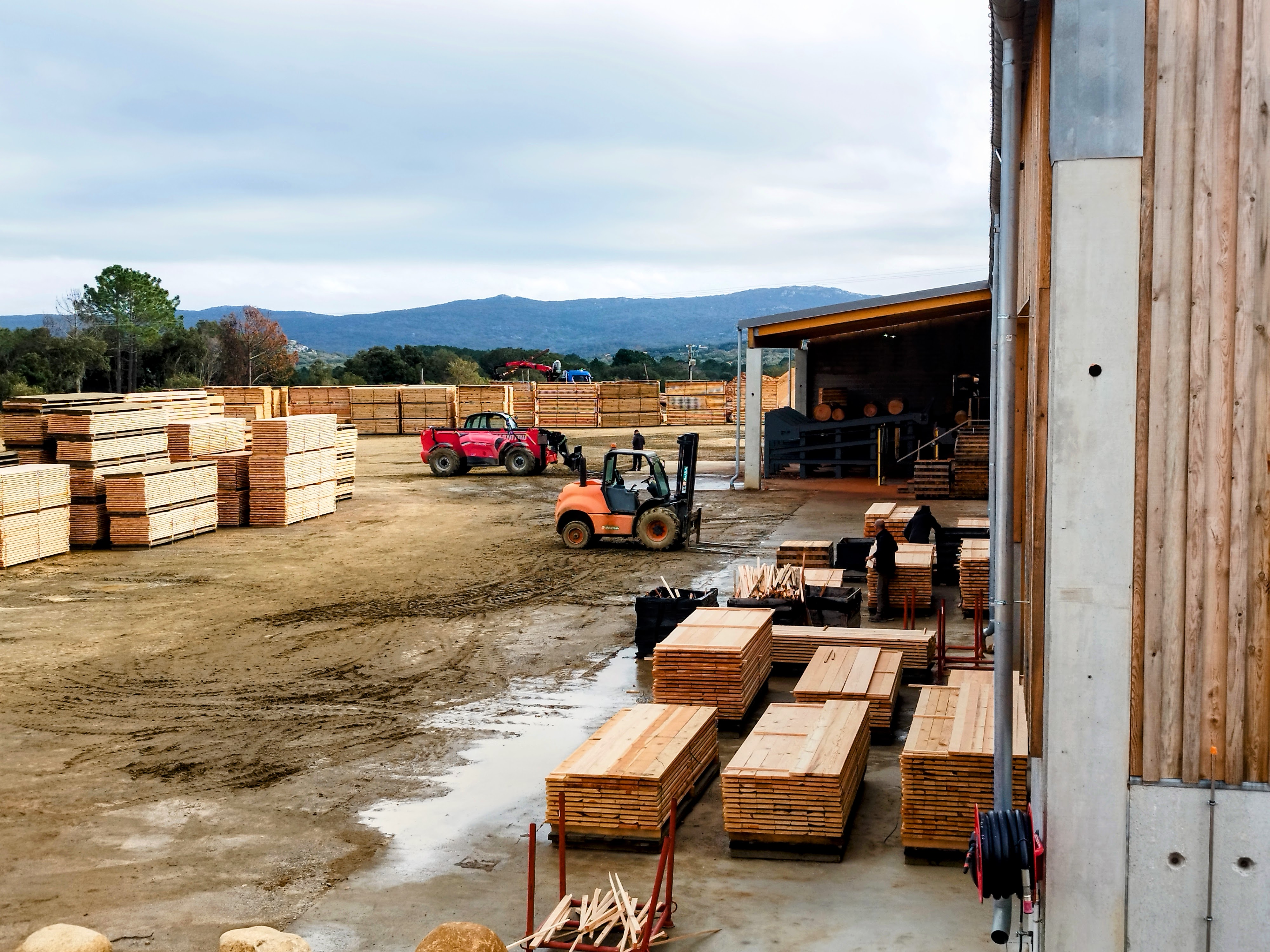La scierie de Sotta a ouvert il y a un an.