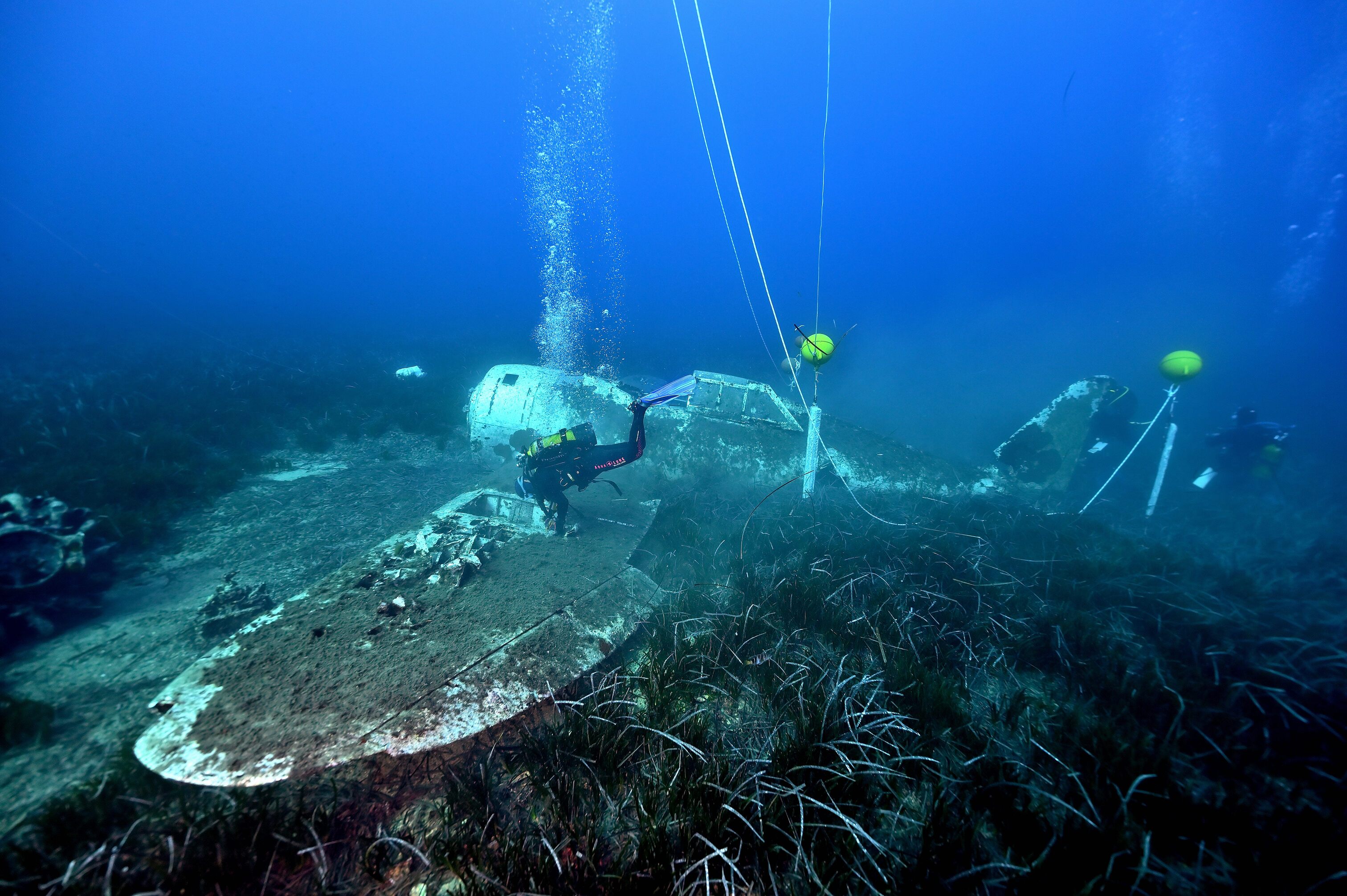 credit photo : Alain Touzet - Collectivité de Corse, Corse images sous marines