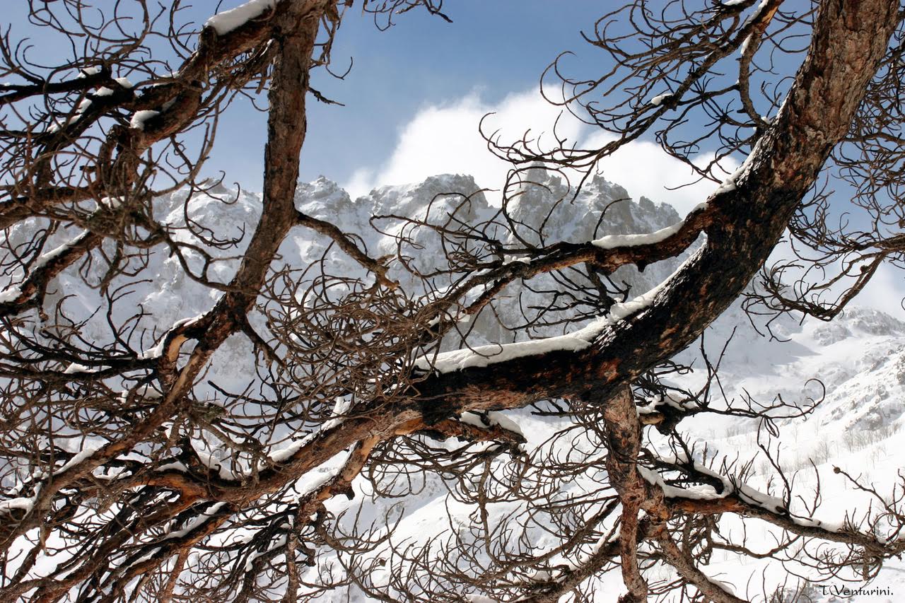 Natale trà neve è muntagne