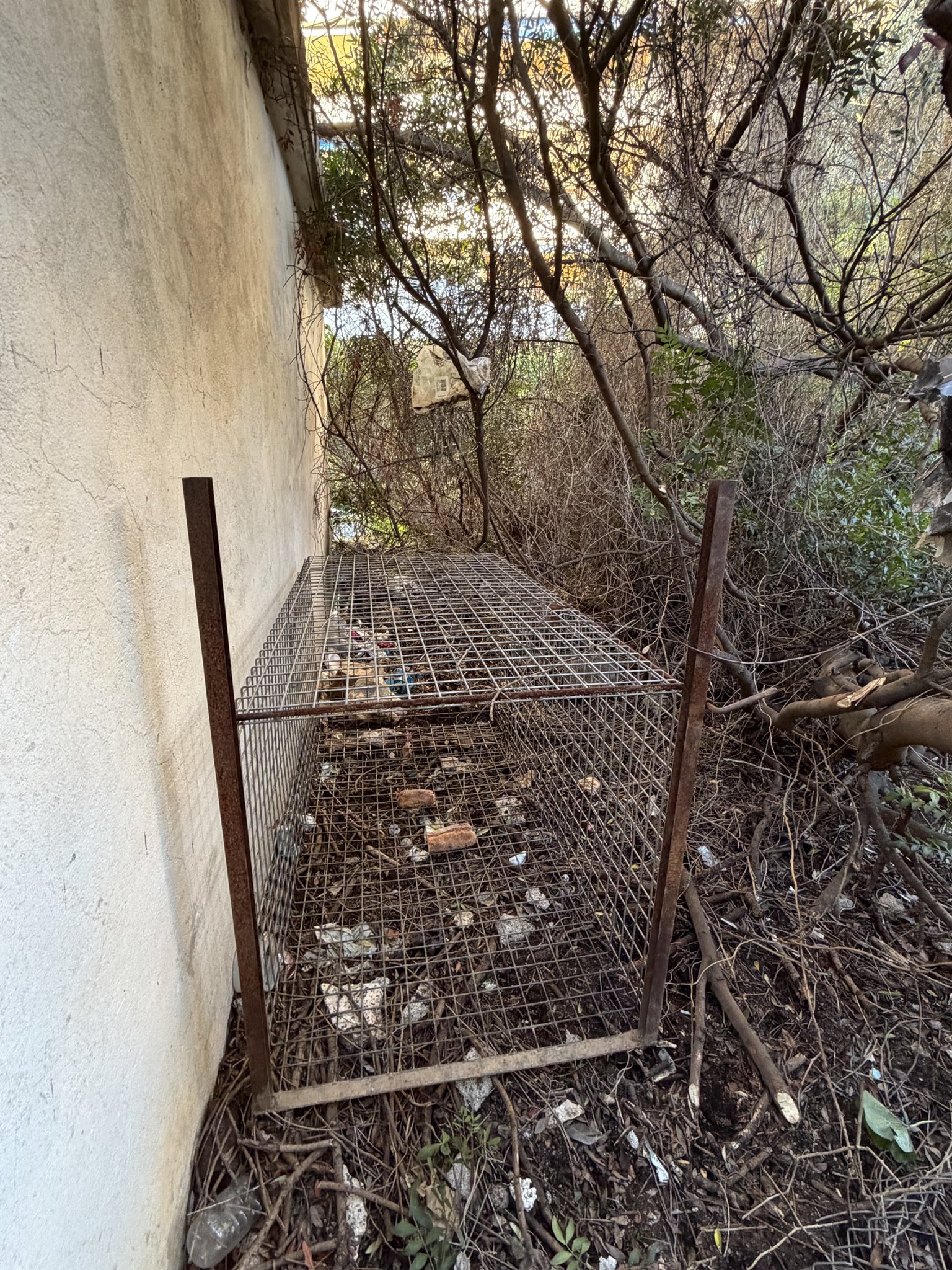 (Photo : X Ville d'Ajaccio)