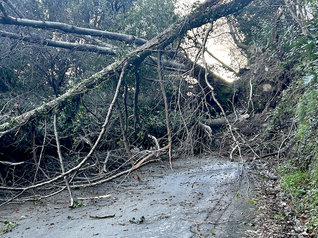Vallée de Lota - Éboulement important entre San Martinu et Figarella