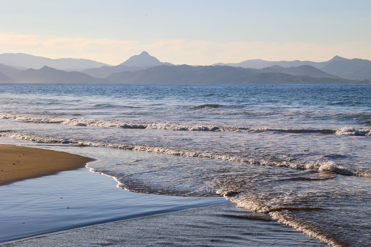 A màghjina - Ferringule d'invernu