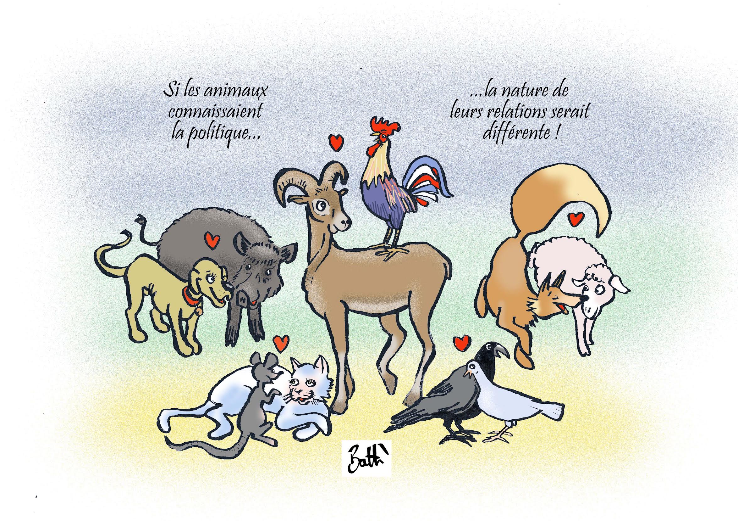 Municipales 2026 en Corse : quand la politique rend compatibles les incompatibles