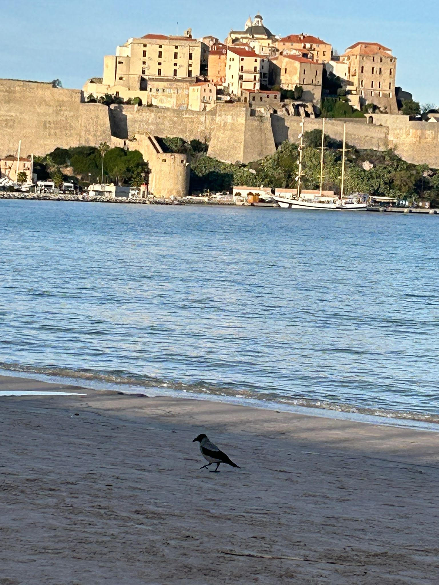 A màghjina - Calvi un solu "turistu"