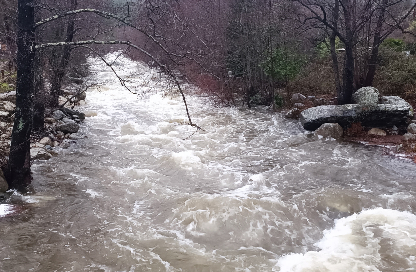 A Baliri, U Tavignani en furie.