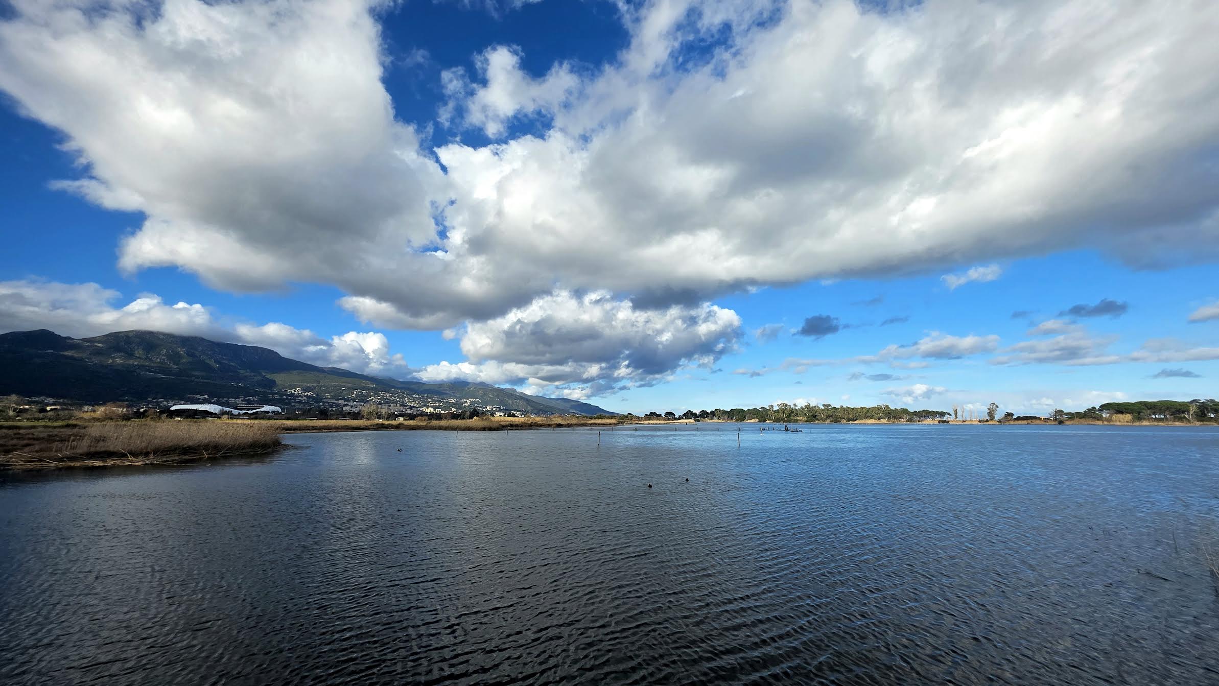 L'étang de Chjurlinu (Sabrina Mariani)
