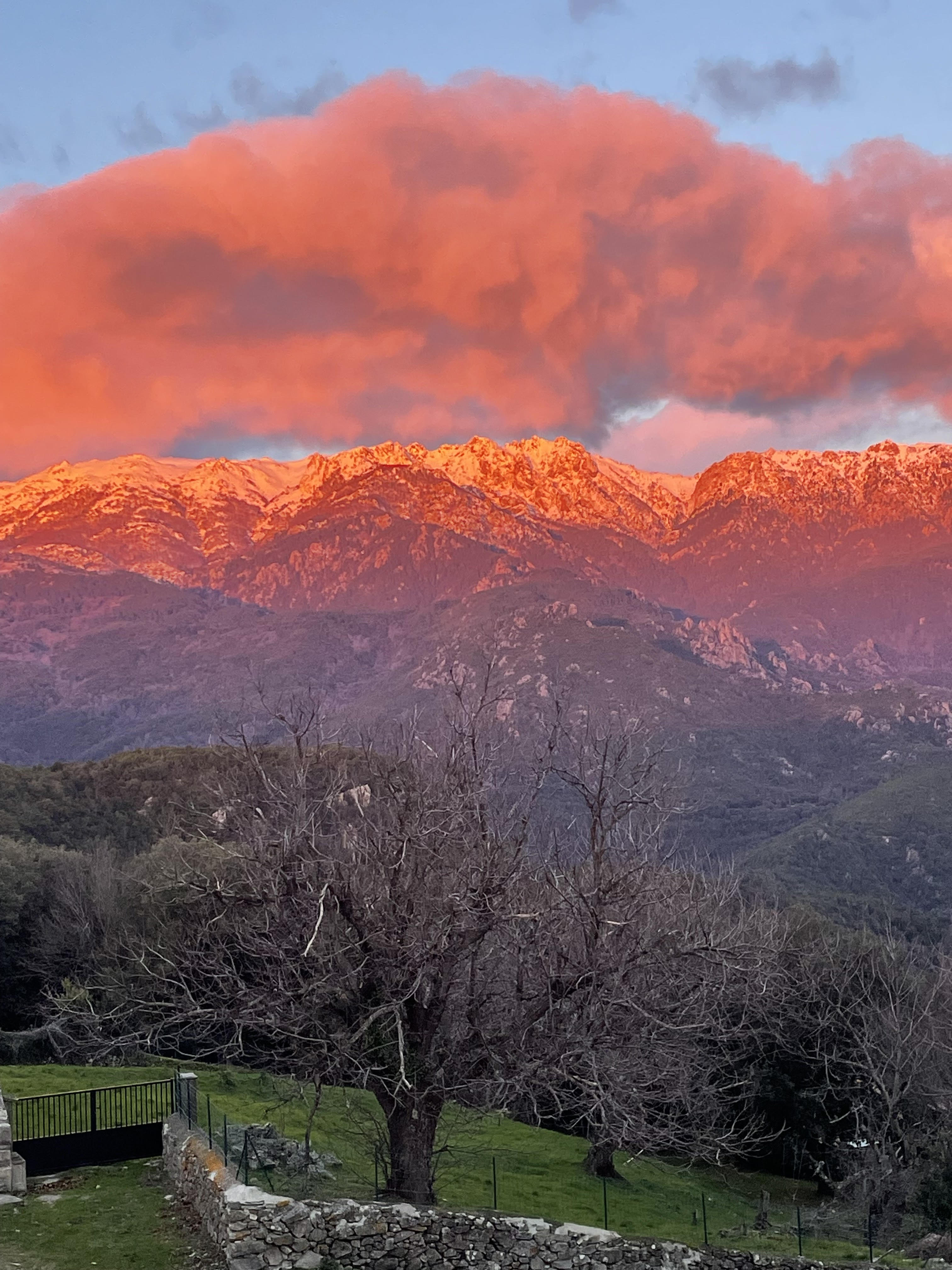 A màghjina : E cime innevate di u Fium’Orbu à l'alba
