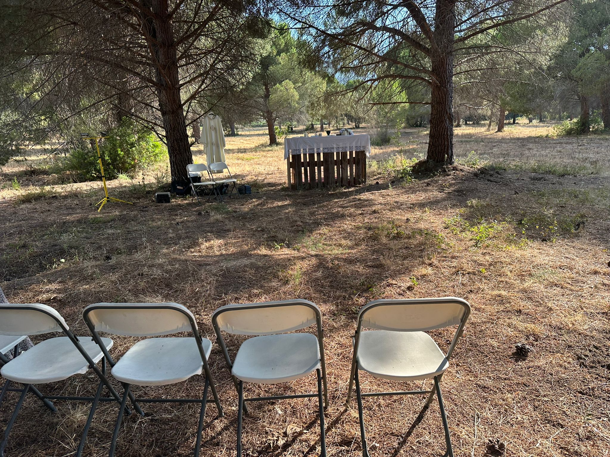 Elle donne sa pinède à la paroisse : à Calvi, un projet pour les jeunes voit le jour