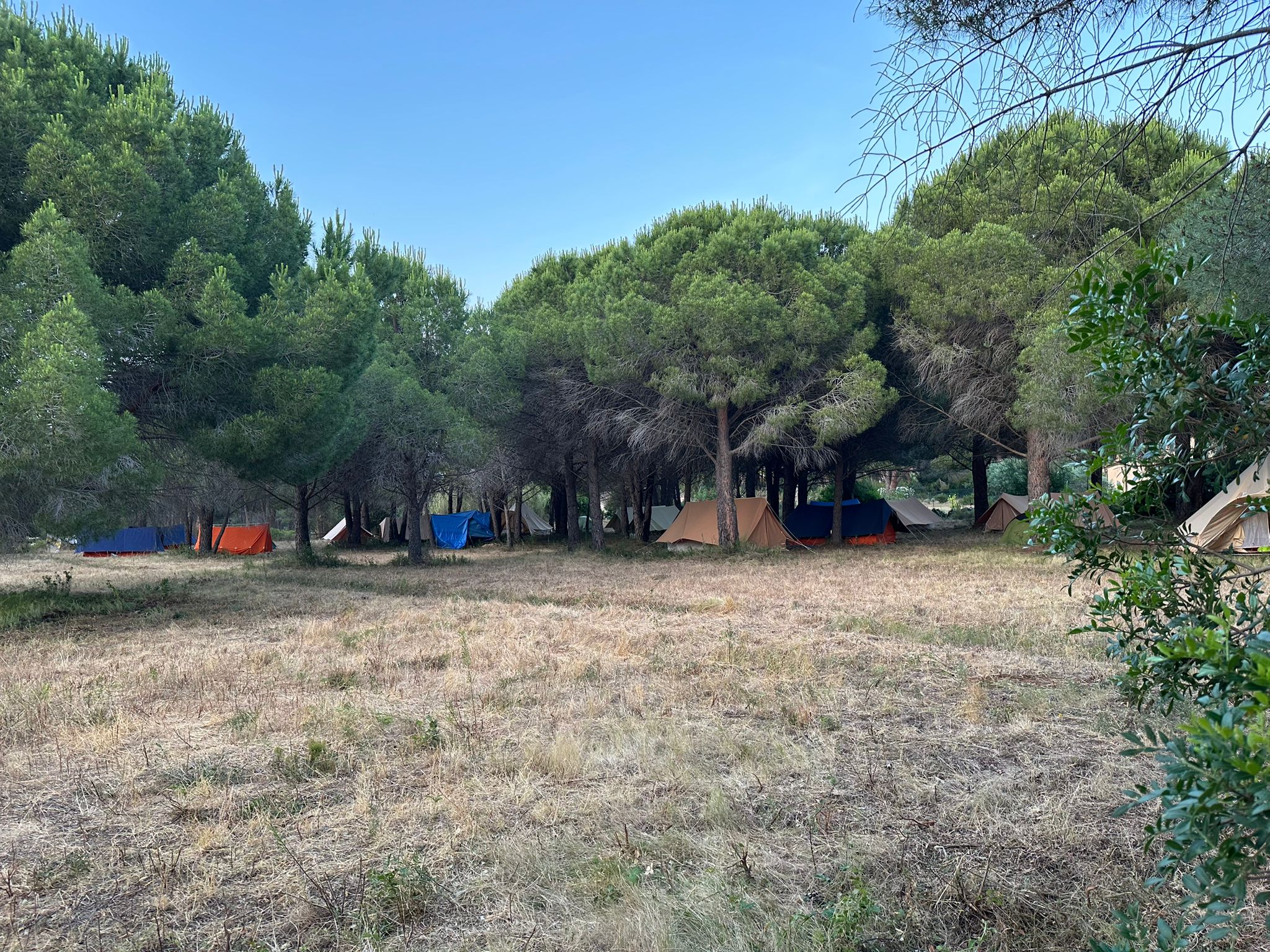 Elle donne sa pinède à la paroisse : à Calvi, un projet pour les jeunes voit le jour