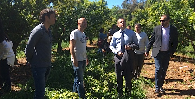 Le sous-préfet Sébastien Cecchi accompagné de Jean-Noël Luciani, responsable du FAFSEA qui a financé la formation et Olivier Pailly, directeur de l'unité de recherche du centre de l'INRA