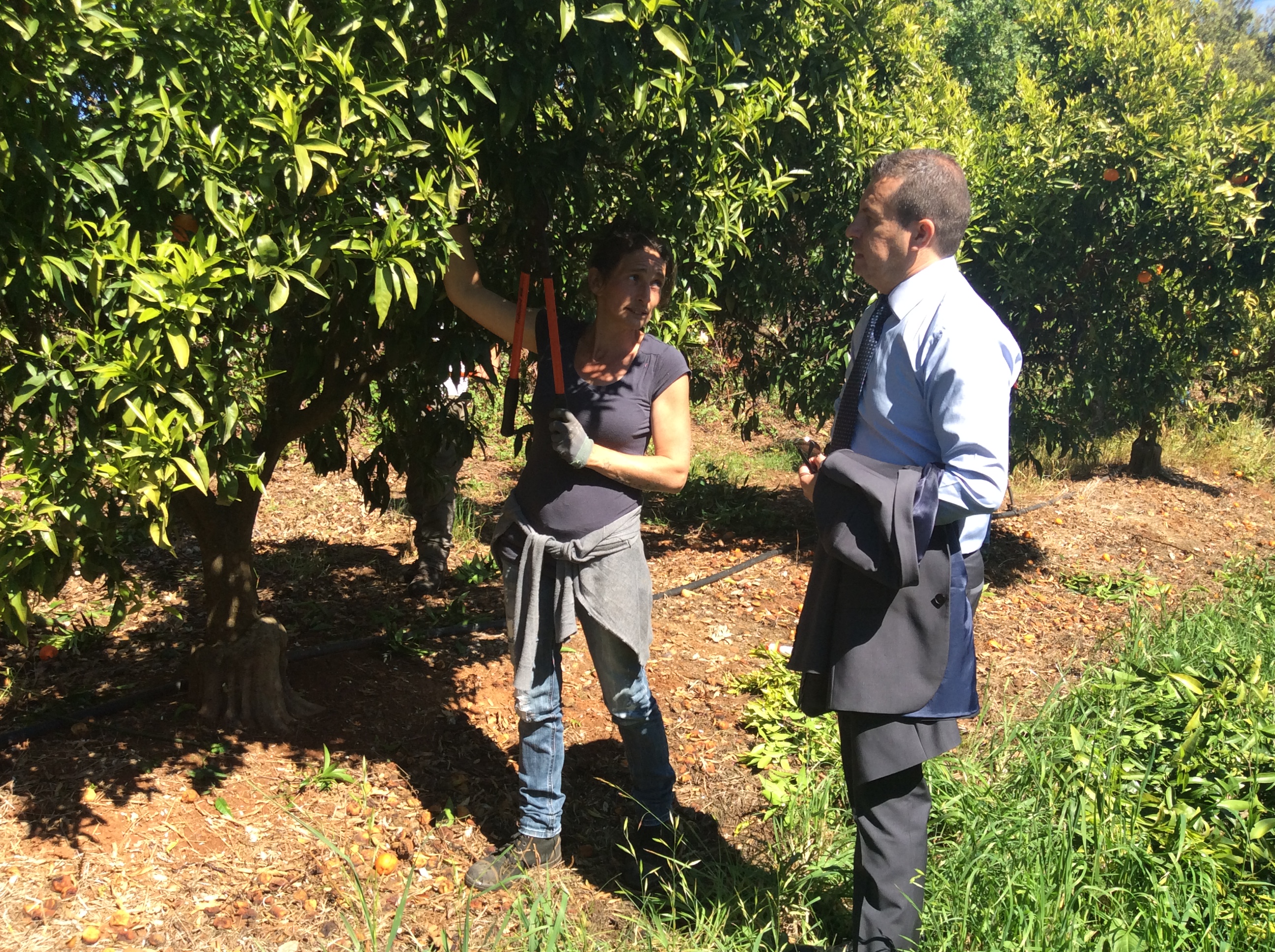 La stagiaire Annabelle explique son parcours au sous-préfet