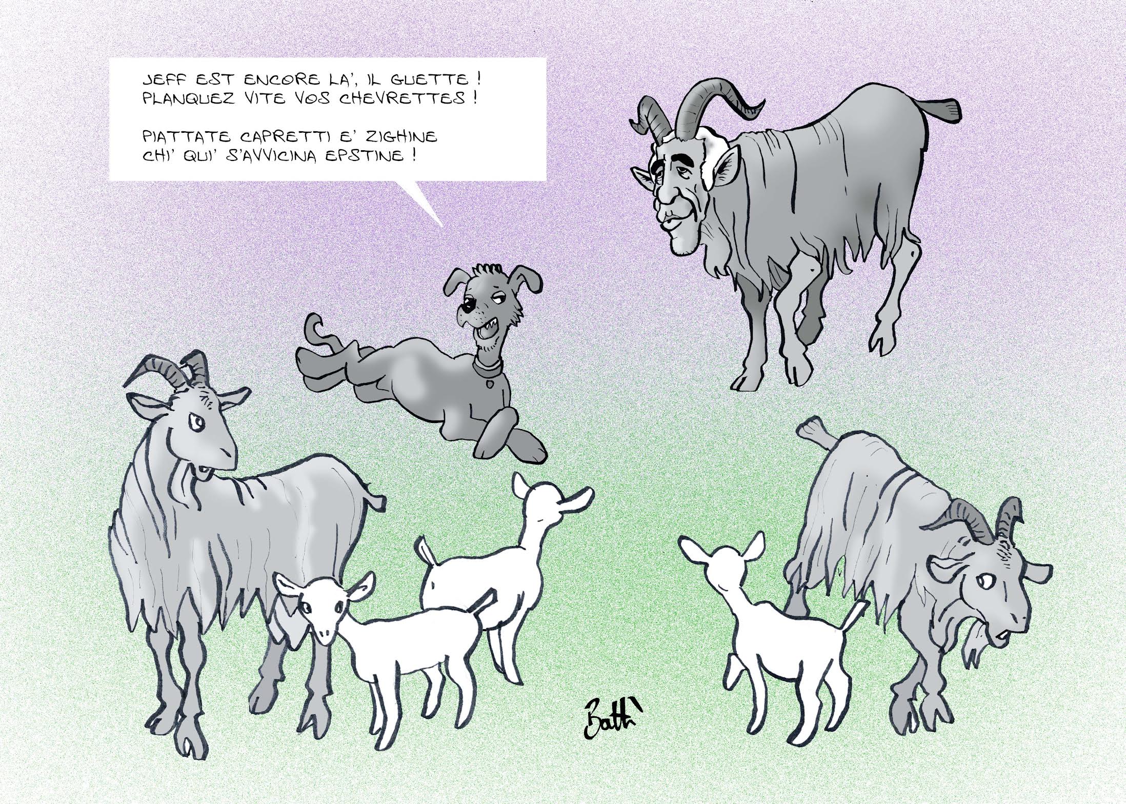 Le dessin de Battì : "planquez vite vos chevrettes" 