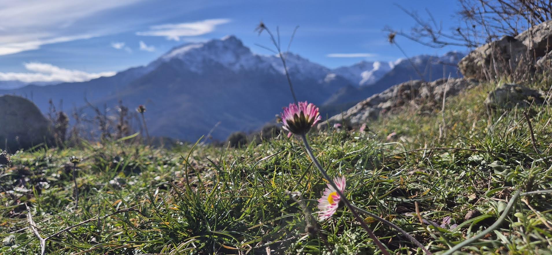 A màghjina - U veranu s’avvicina