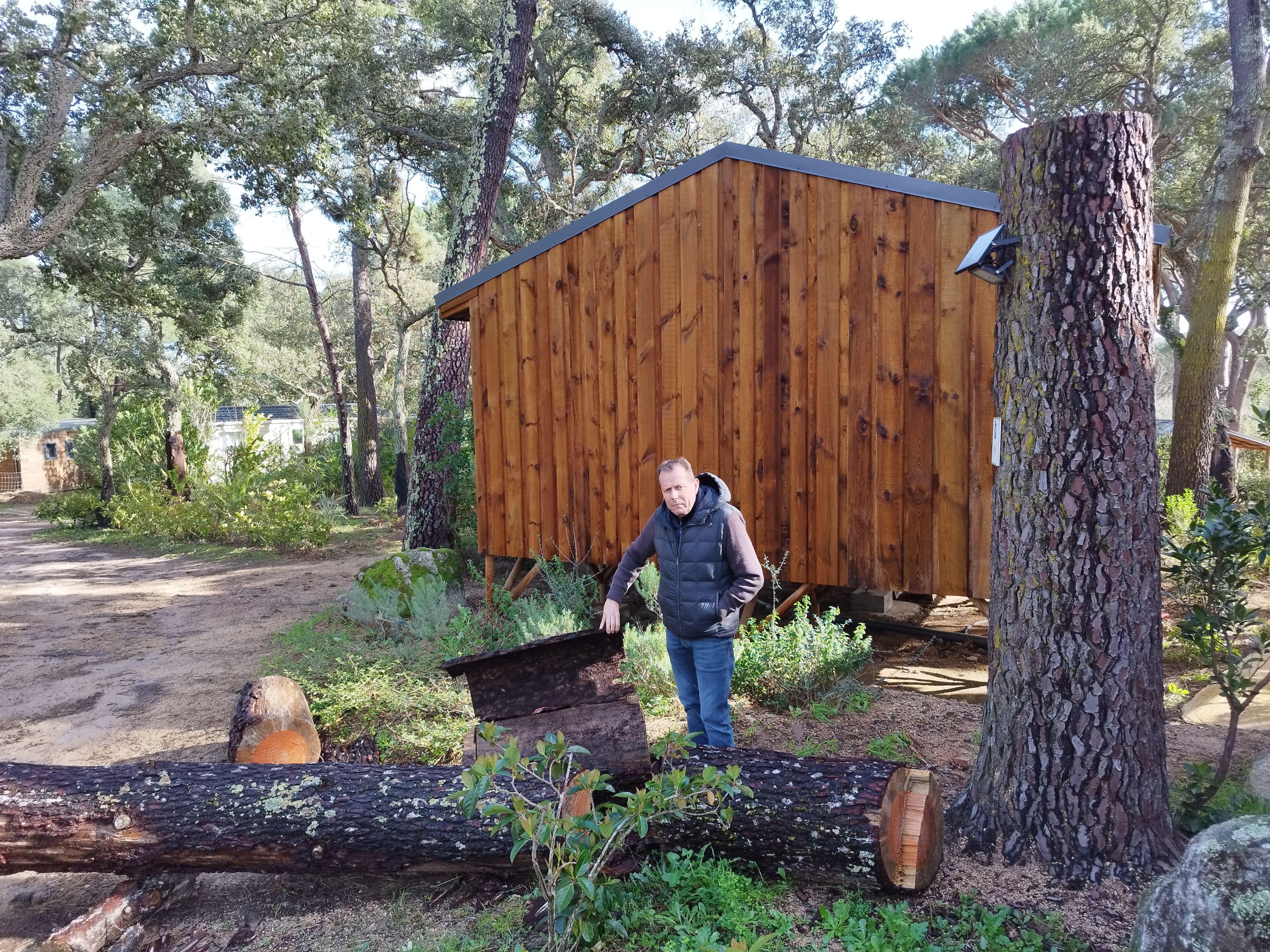 Etienne Cesari, dans son camping, a dû faire abattre "des dizaines et des vingtaines" d'arbres ravagés par le scolyte.