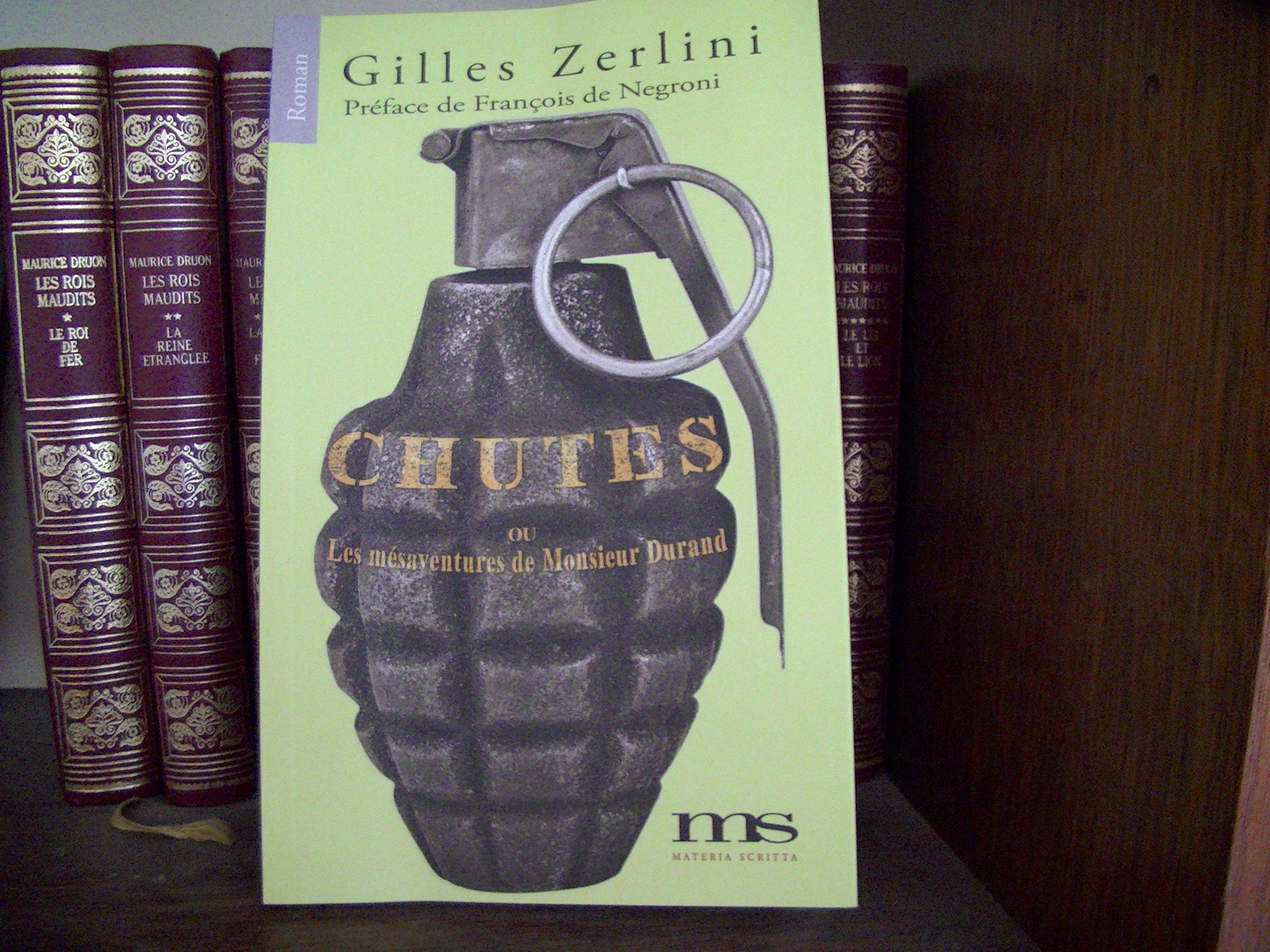 "Chutes" de Gilles Zerlini : Un roman à ne pas passer sous silence !