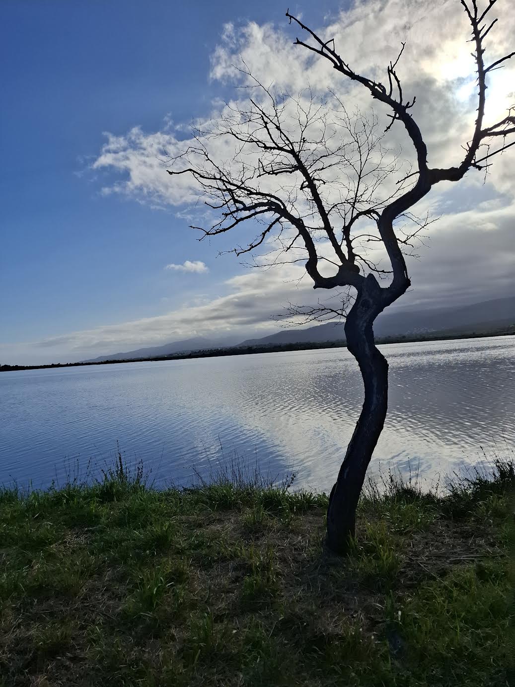 Étang de Palau (Myriam Santelli)
