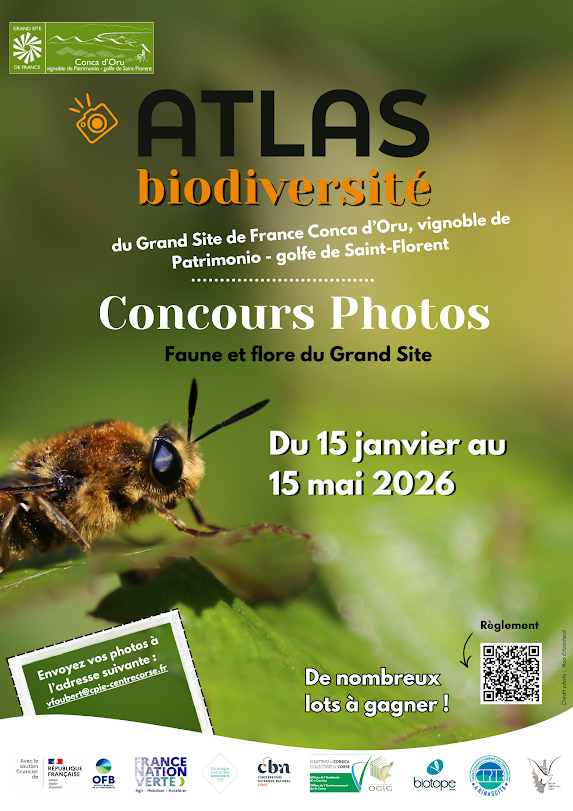 Grand Site de France Conca D’Oru : un concours photos pour valoriser le patrimoine naturel du territoire