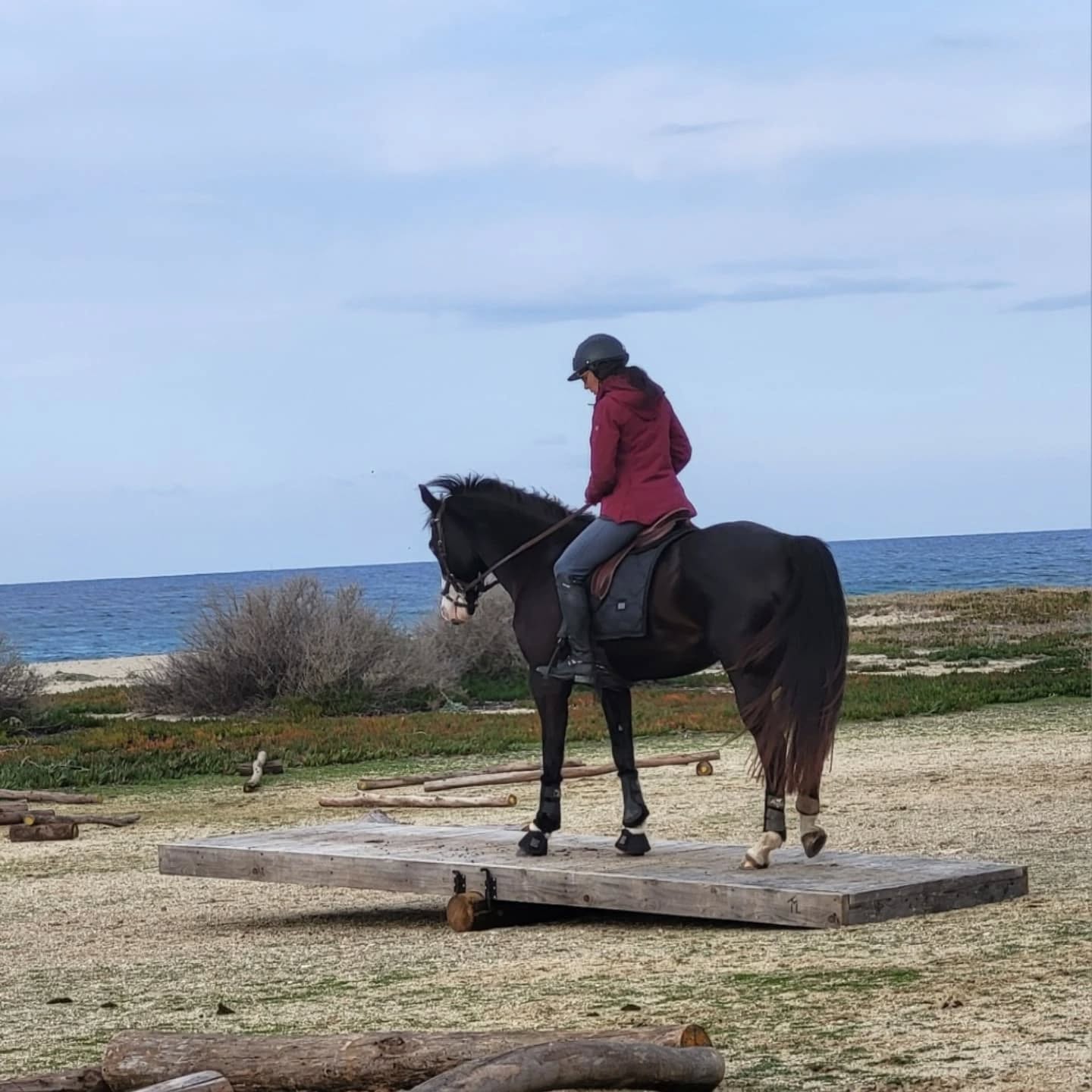L’association Equitable-Corse organise ce dimanche 8 mars un concours équestre de Mountain Trail, dans l’enceinte du club Belambra à Lozari, en Balagne.