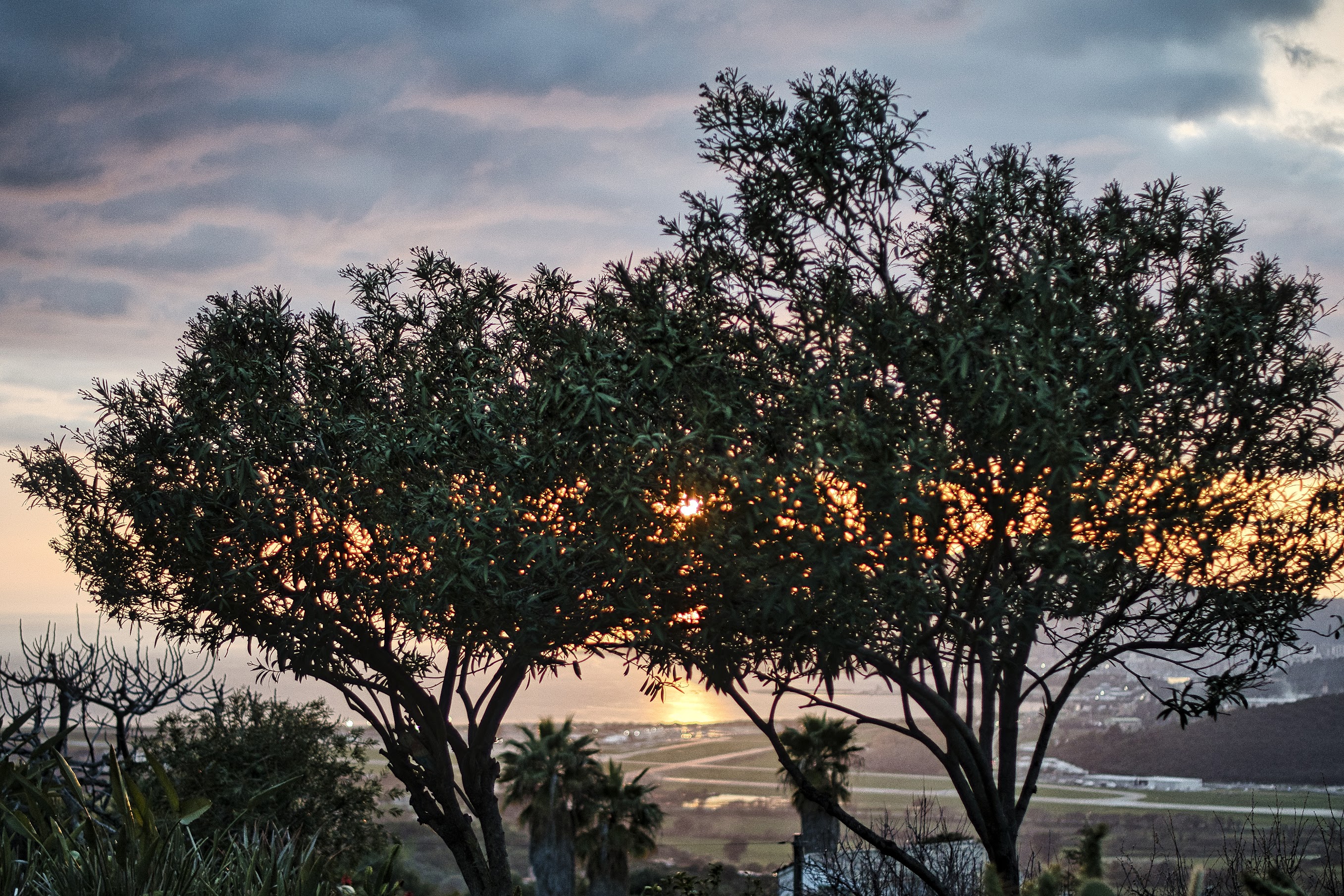 A màghjina - Aiacciu, sole è aliva di pace