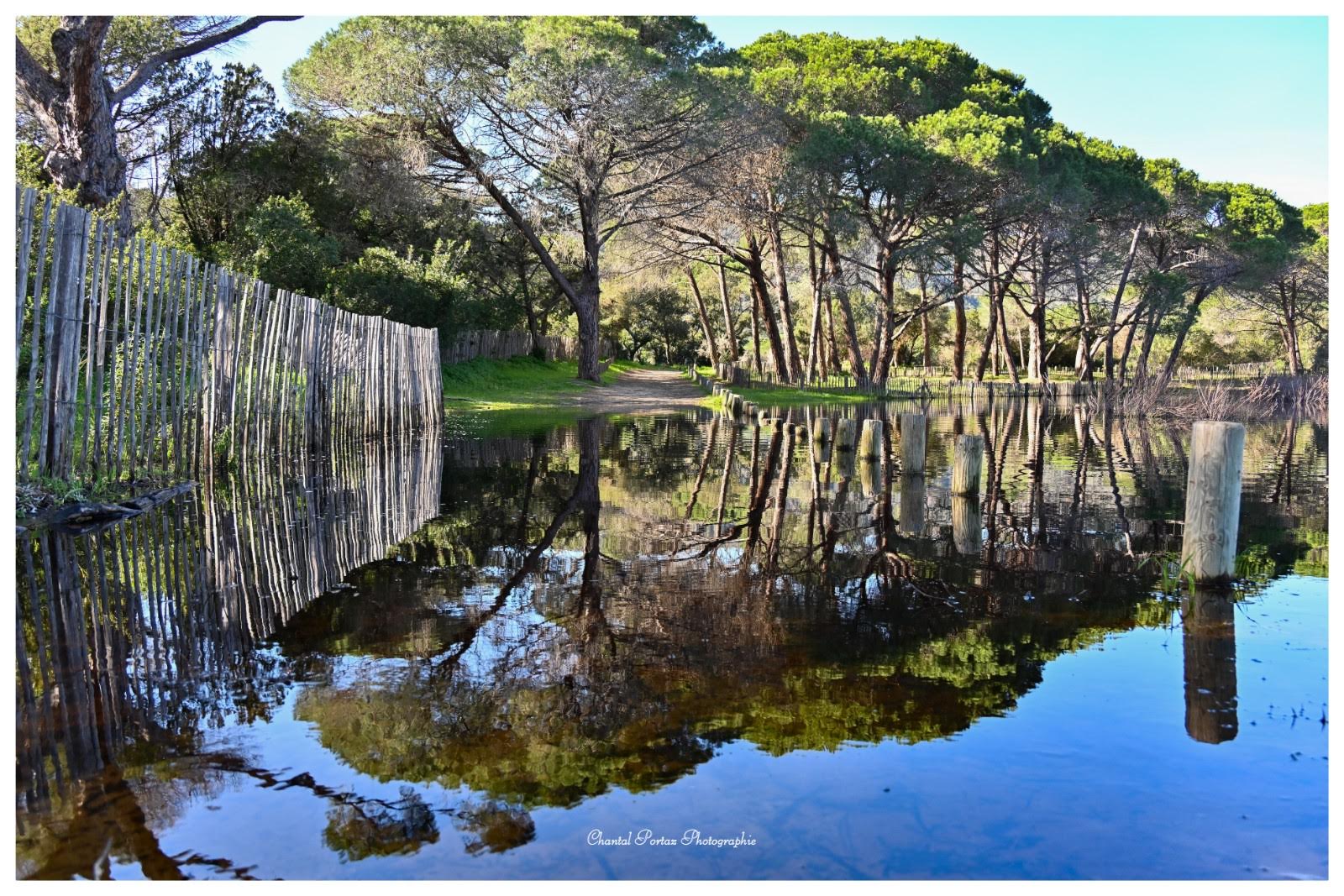 A màghjina - Palumbaghja : quandu i chjassi si facenu spechju