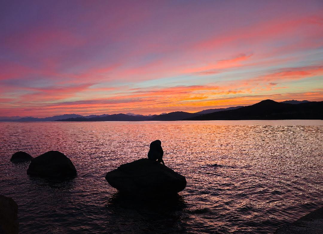 A màghjina - A donna di l’Isula aspetta l’alba nant’à u scogliu