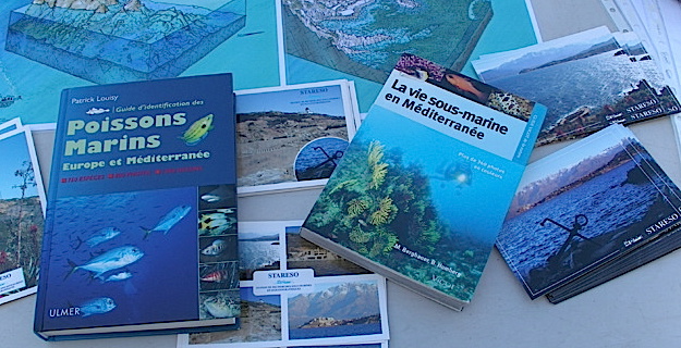 Bastia avant Ajaccio : 45 ateliers pour la 23ème édition de la Mer en fête