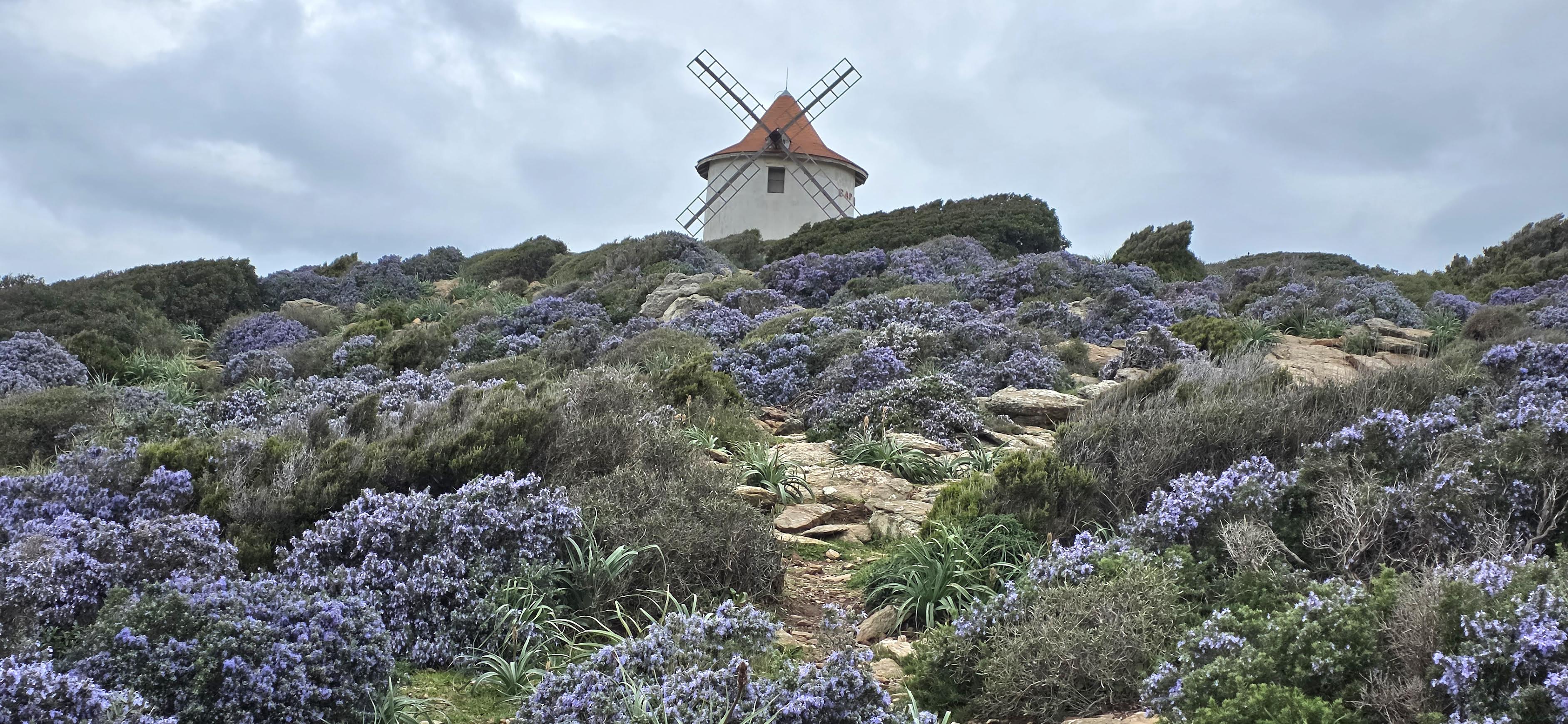 A màghjina - U Mulinu Mattei, sentinella di u Capicorsu