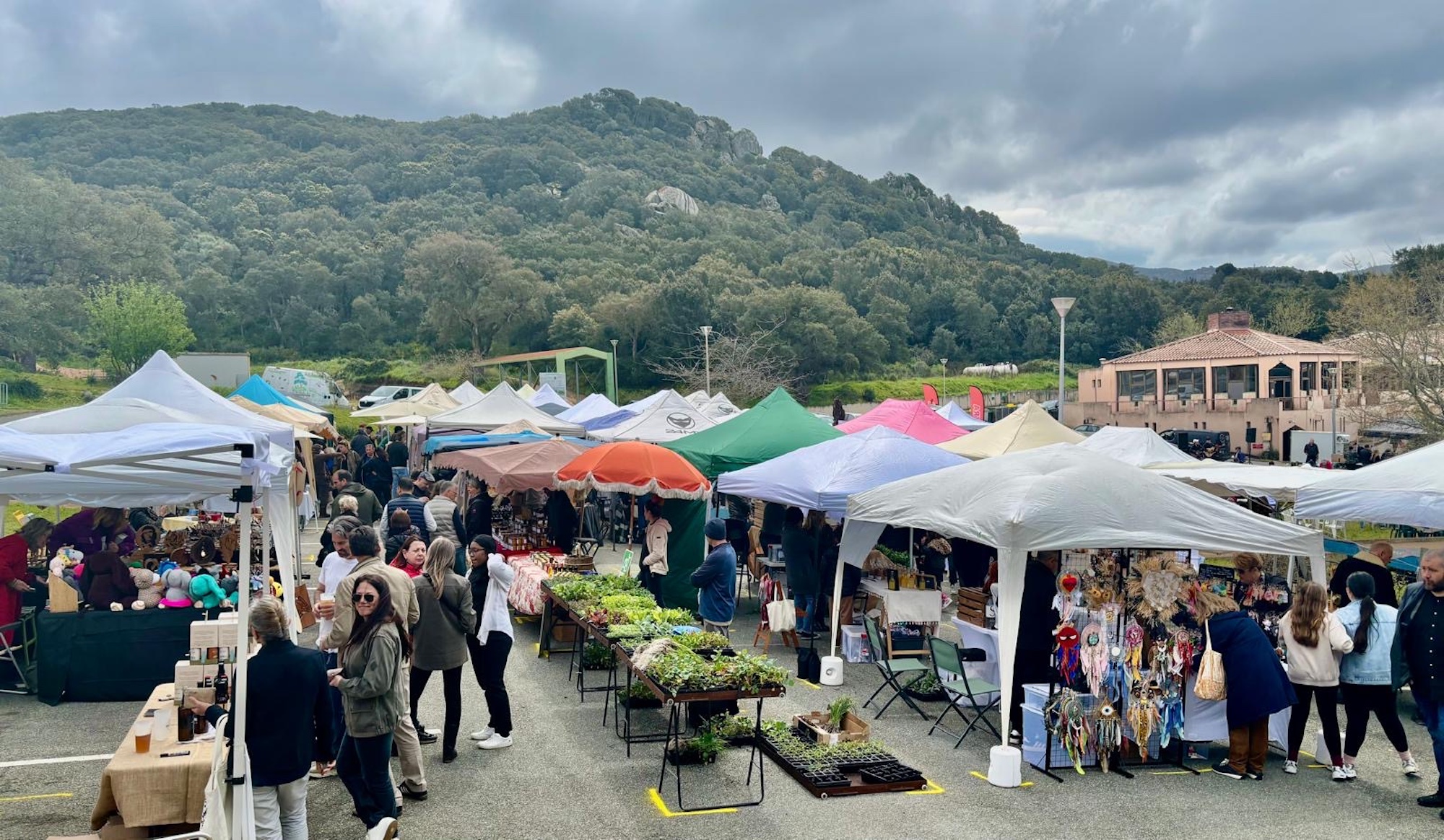 À Sartène, la Fiera di u Campus AgriCorsica cultive son ancrage local