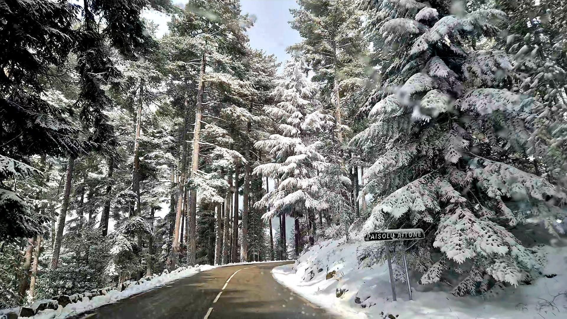 A màghjina - Neve in furesta d'Aïtone