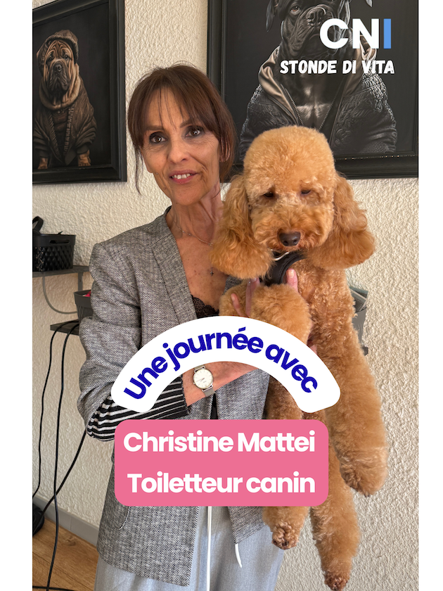 Stonde di Vita avec…Christine Mattei, toiletteur canin