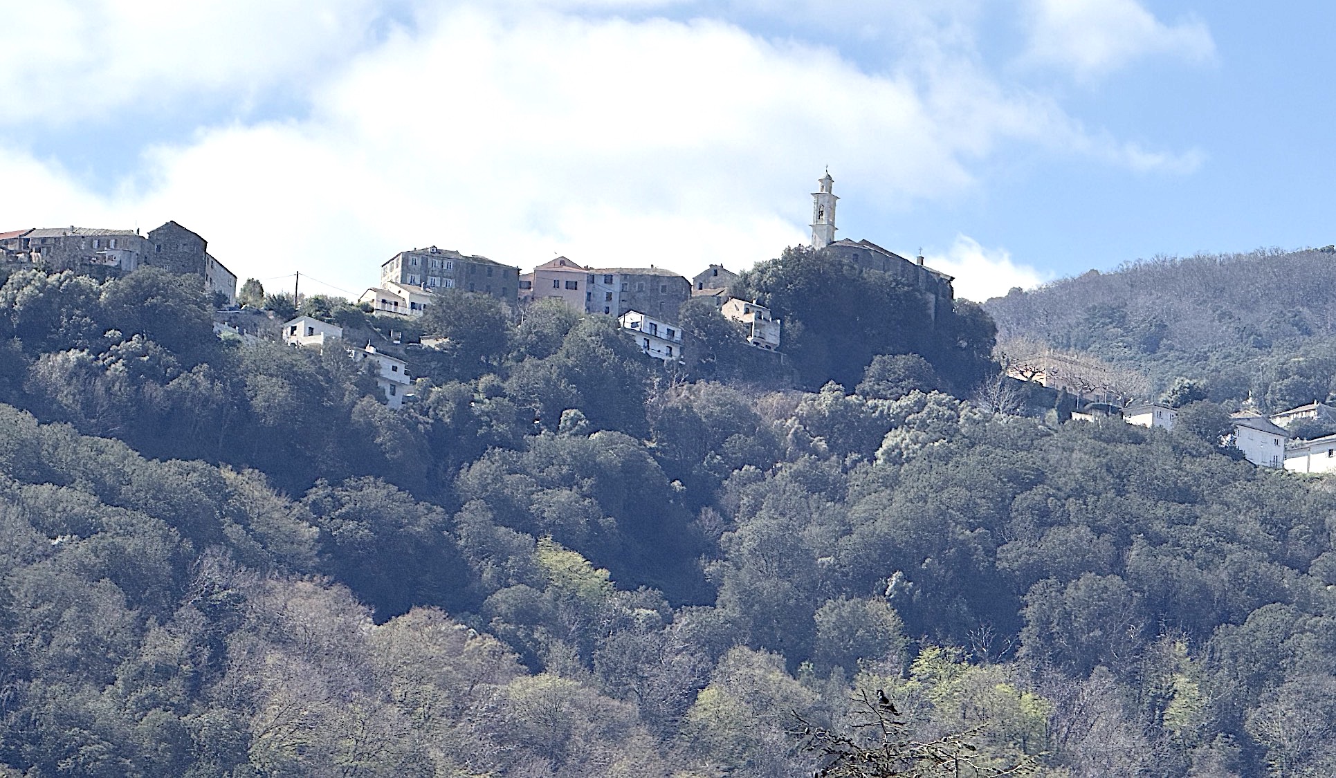 Le village de San Martino di Lota@cni