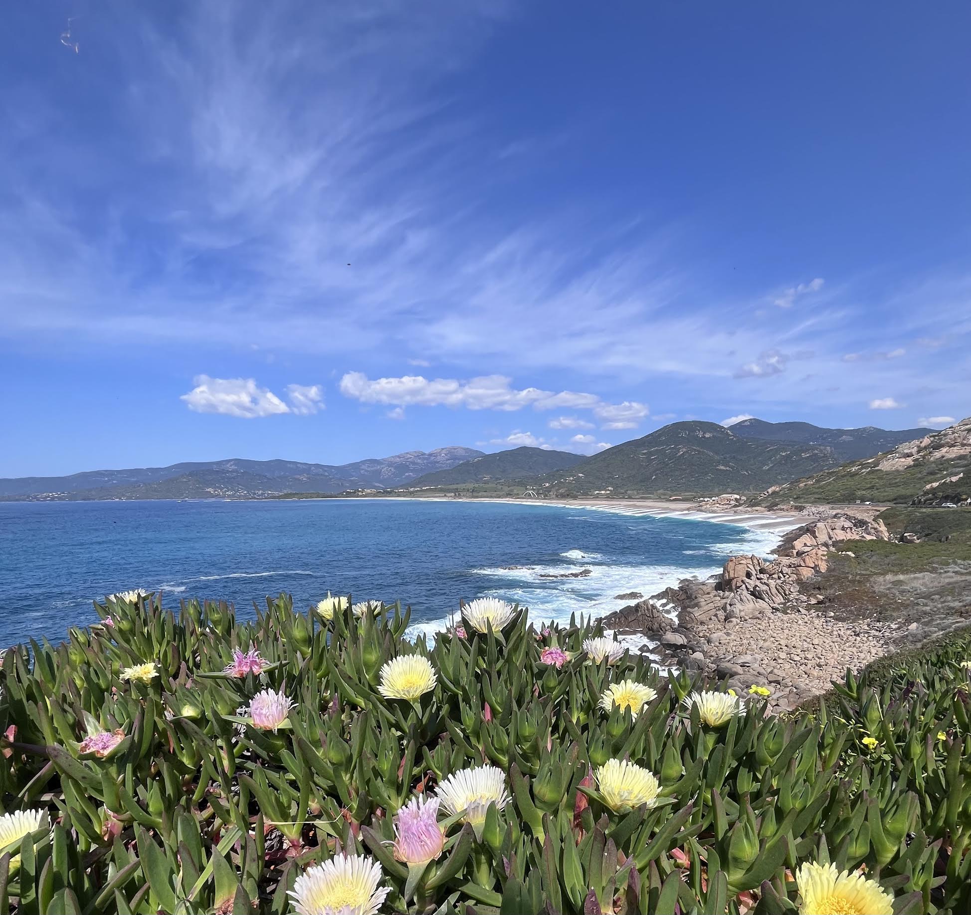 Du côté du Liamone (Marlène Colombani)