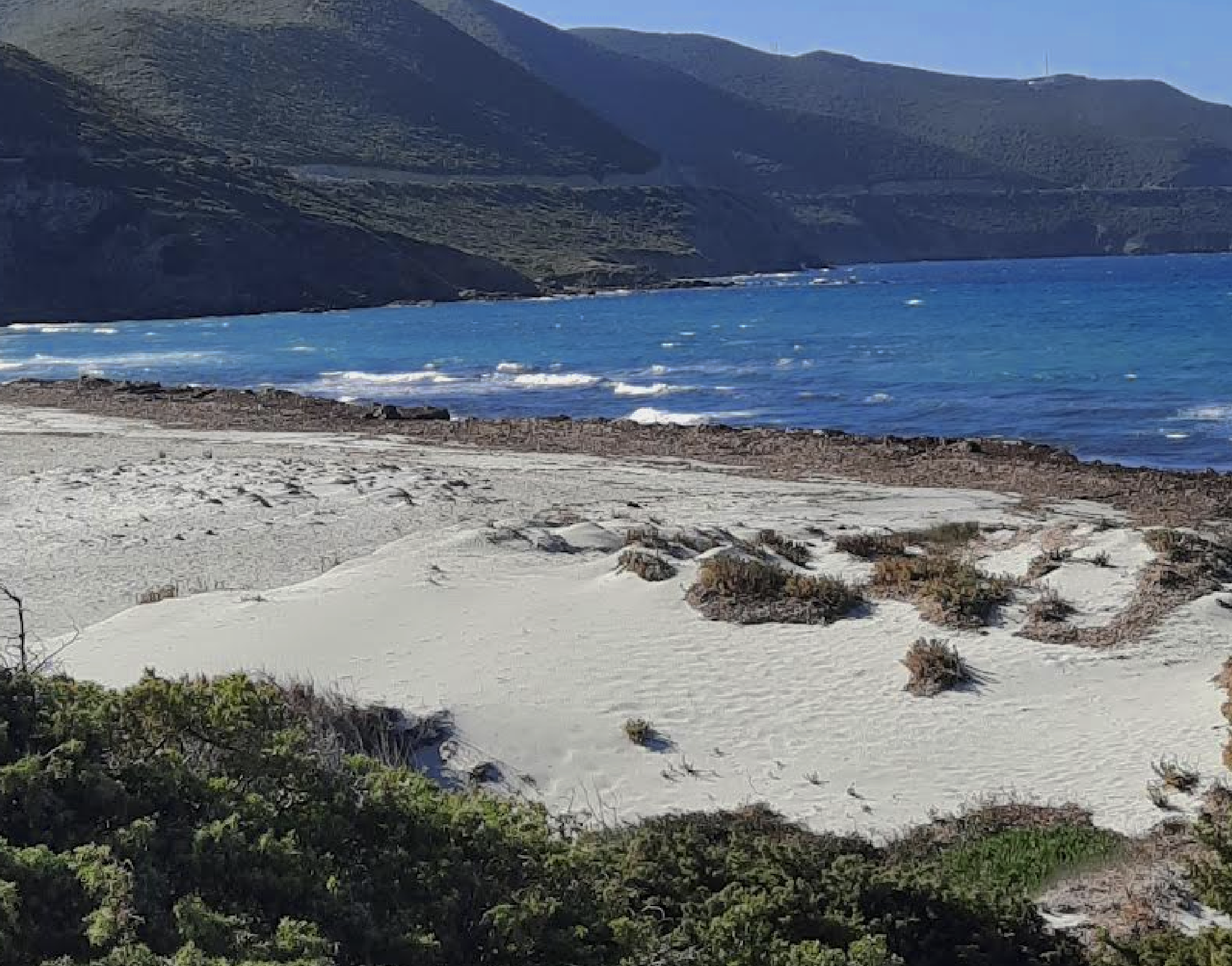 Ostriconi (Annick Medori)