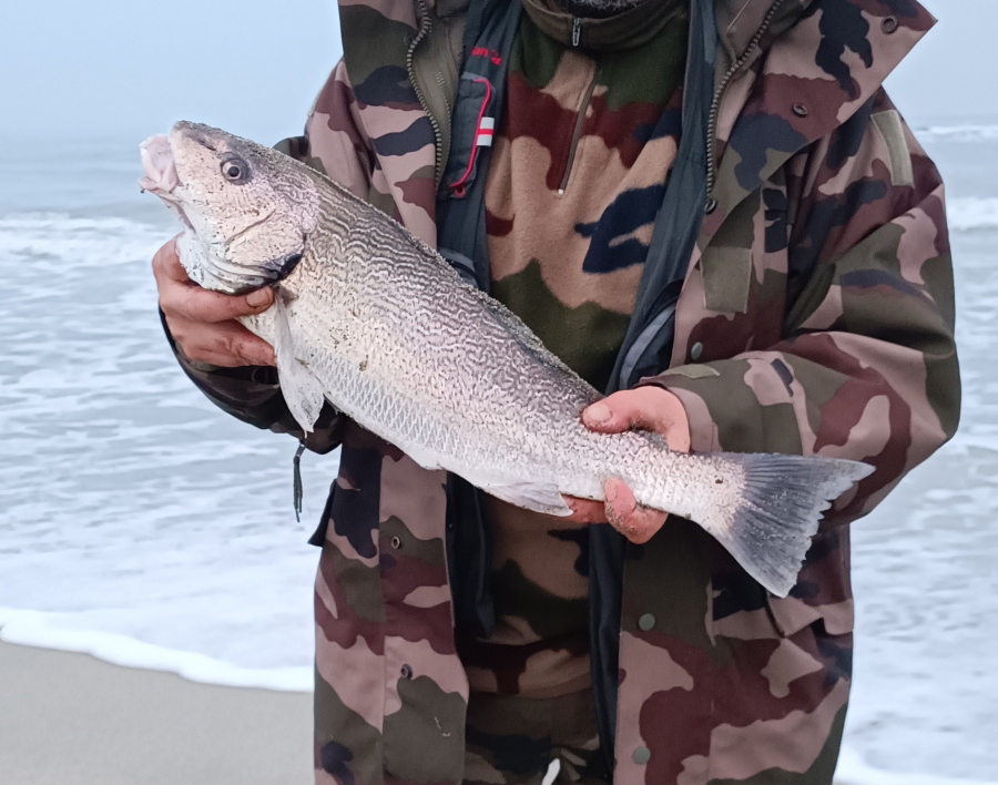 Pêche en mer : 2e édition de l’Open Surfcasting du Fium’orbu-Castellu-Oriente les 24 et 25 avril