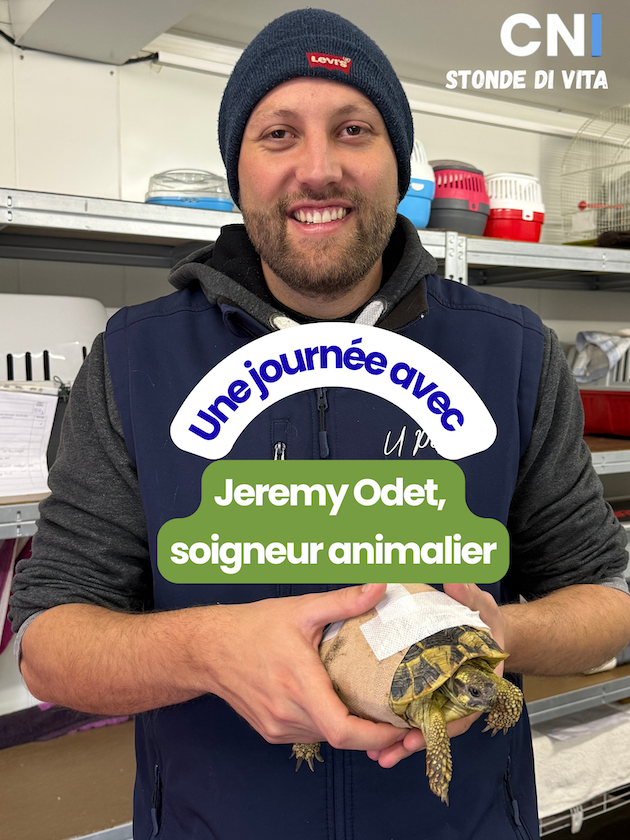 Stonde di Vita avec… Jeremy Odet, soigneur animalier