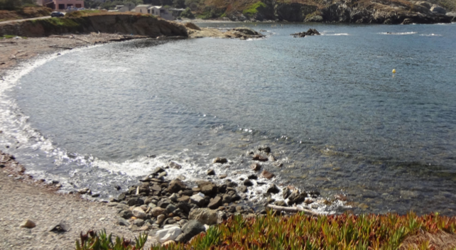 Grand nettoyage au Cap Corse : La PMCC mobilise bénévoles et communes le 23 avril à Centuri