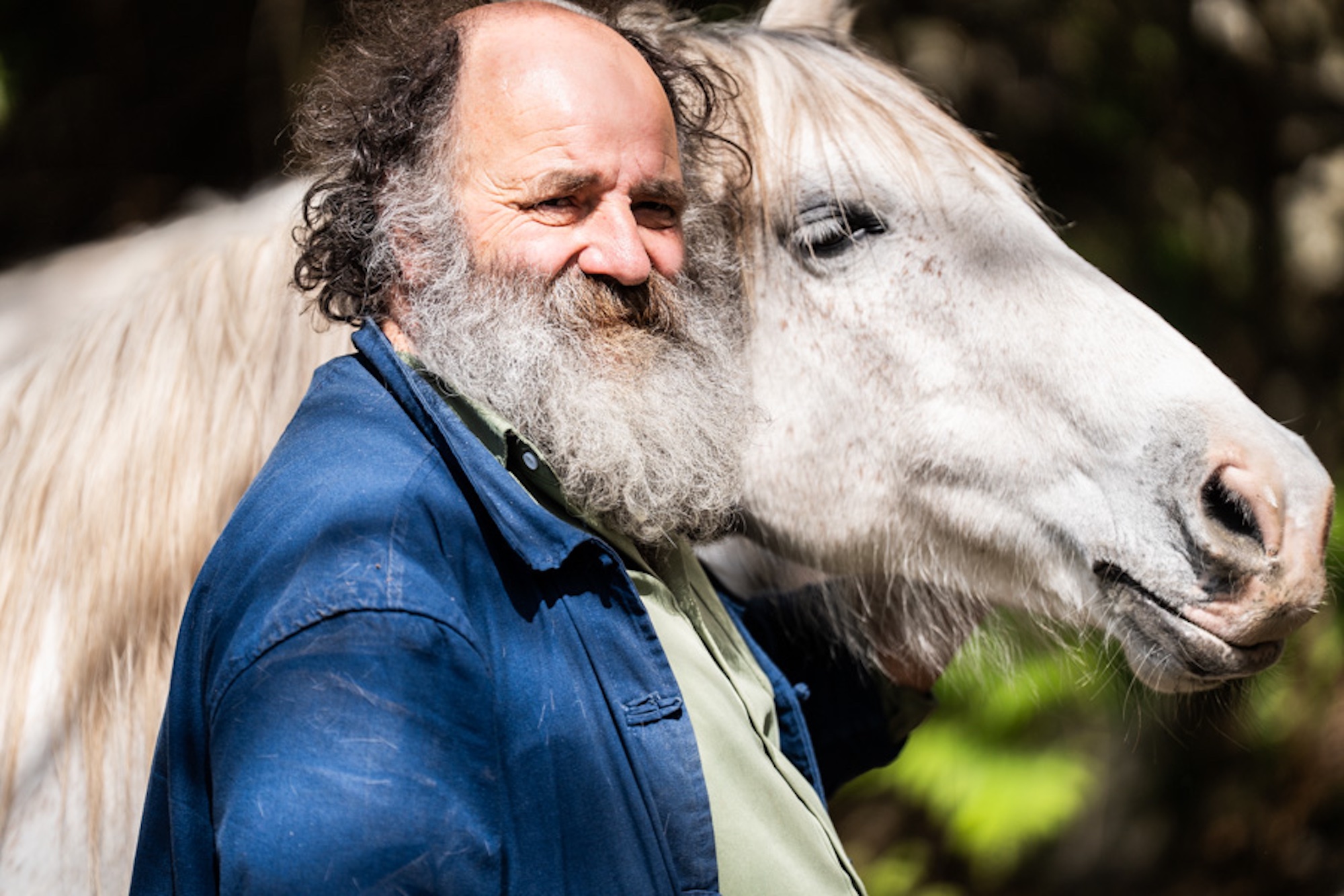 Le Bocognanais Philippe Antonetti dessine le réel