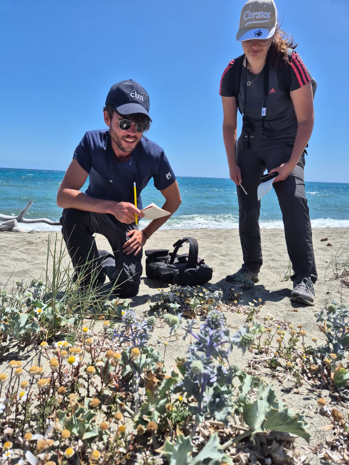 Naturalistes amateurs et experts vont se retrouver ce week-end à Farinole