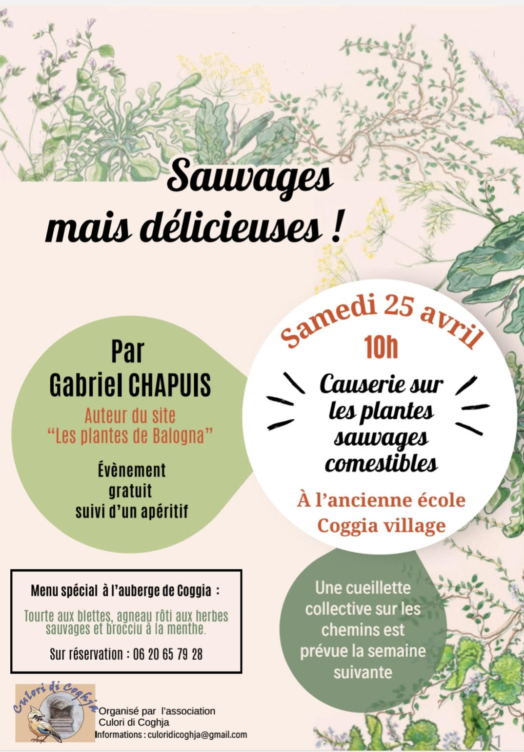 Coggia : causerie consacrée aux plantes sauvages comestibles