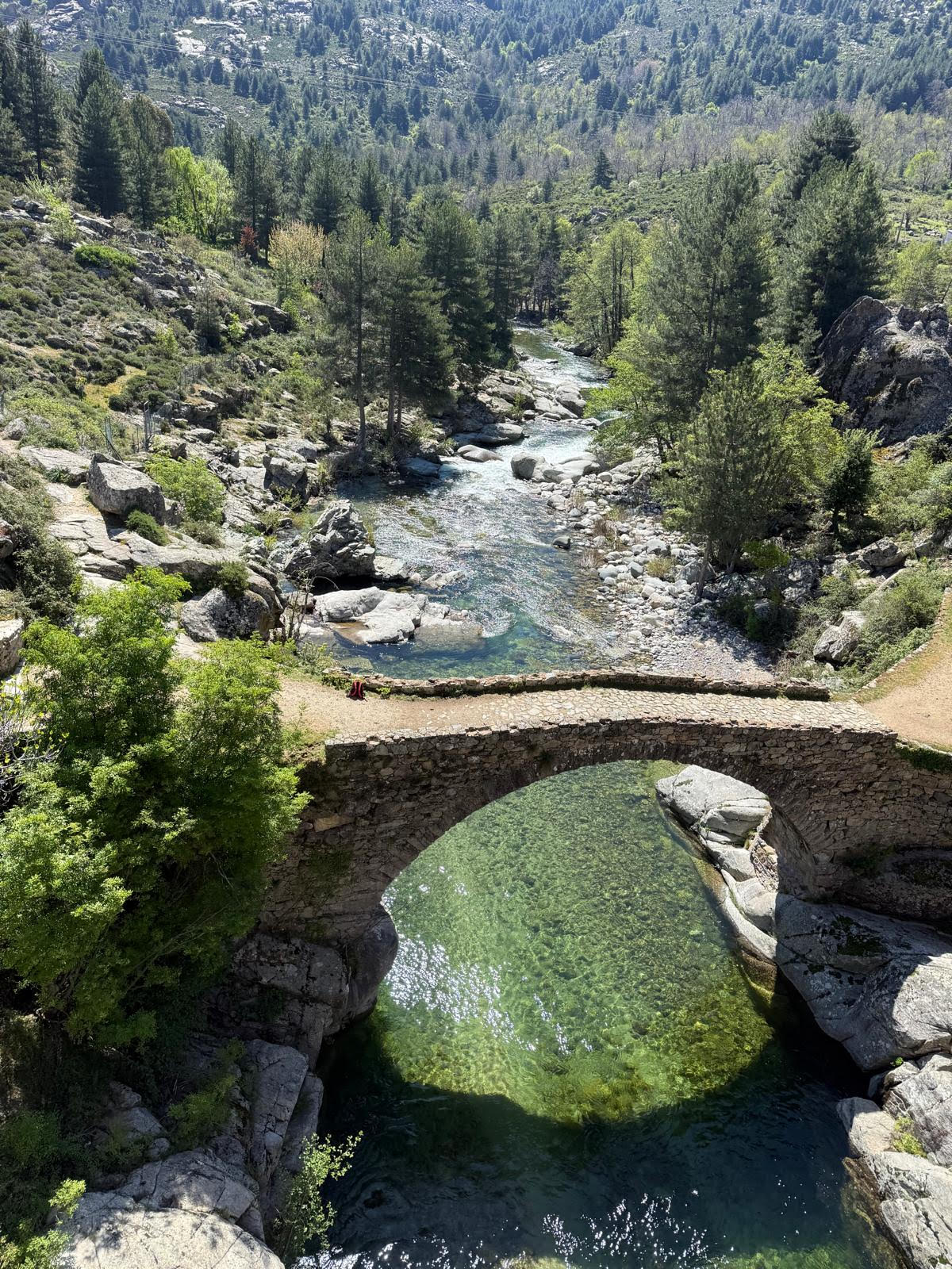 A màghjina - Magnificu Niolu